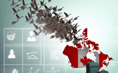 Brain Drain in Canada: Causes, Effects, and Solutions